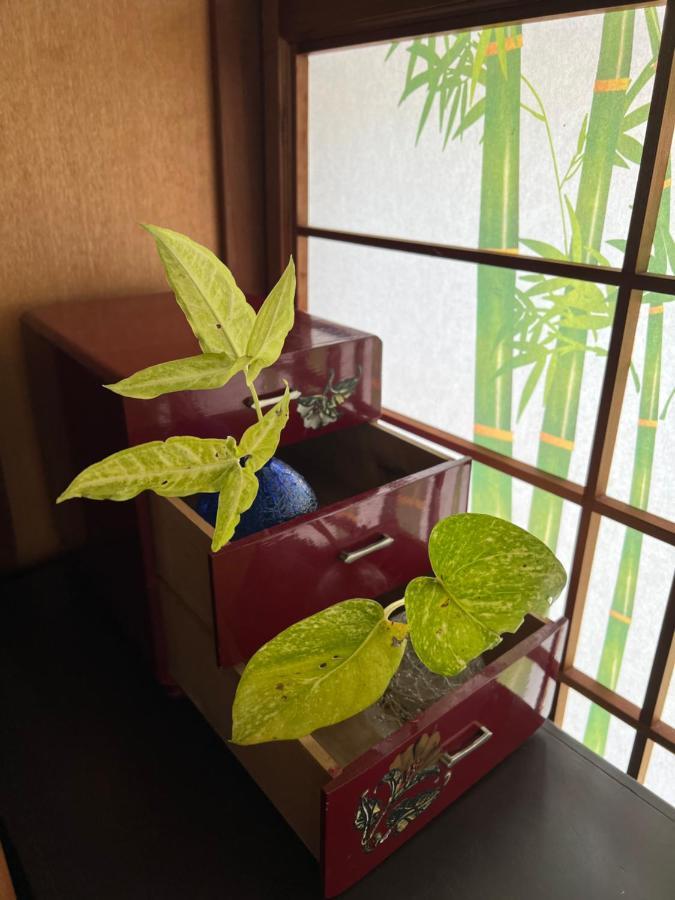 ゆい屋 Villa Ishigaki  Exterior foto